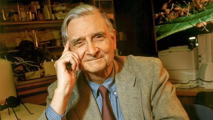From One Scientist To Another: NYT Reviews E.O Wilson's "Inspirational" Book